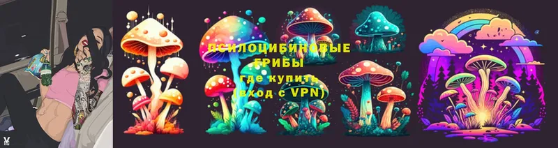 хочу наркоту  Белая Калитва  кракен вход  Псилоцибиновые грибы Psilocybine cubensis 